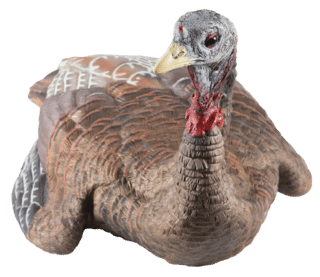 Avian X Laydown pose Hen Turkey Lifelike Collapsible Design Decoy features a dura-rubber construction